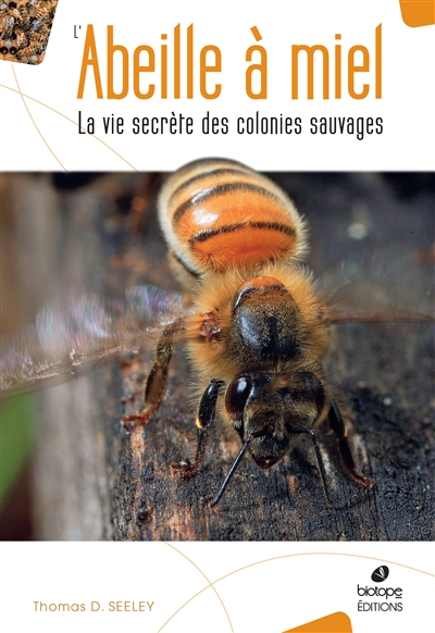 L'abeille à miel : la vie secrète des colonies sauvages