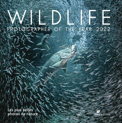 Wildlife photographer of the year 2022 : les plus belles photos de nature