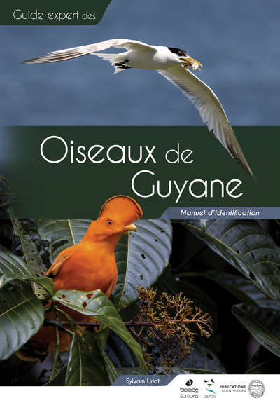 Oiseaux de Guyane : manuel d'identification