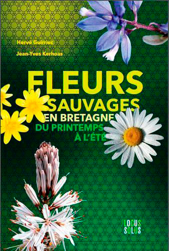 Fleurs sauvages en Bretagne : du printemps à l'été