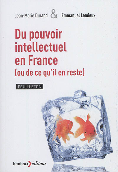 Du pouvoir intellectuel en France : (ou de ce qu'il en reste)