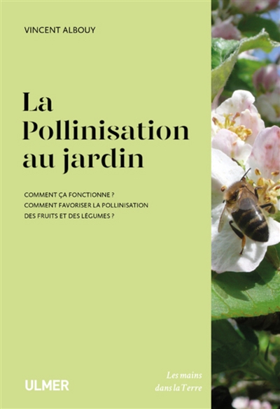 La pollinisation au jardin : comment ça fonctionne ? : comment favoriser la pollinisation des fruits et des légumes ?