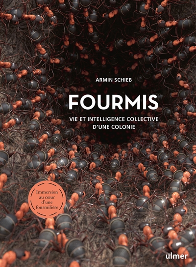 Fourmis : vie et intelligence collective d'une colonie