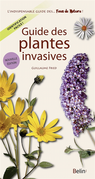 Guide des plantes invasives : reconnaître ces plantes qui nous envahissent !