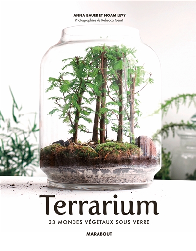 Terrariums : les mondes végétaux sous verre