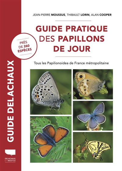 Guide pratique des papillons de jour : tous les Papilionoidea de France métropolitaine