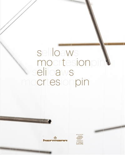 Elias Crespin : Slow motion : exposition, Paris, Maison de l'Amérique latine, du 21 février au 10 mai 2017