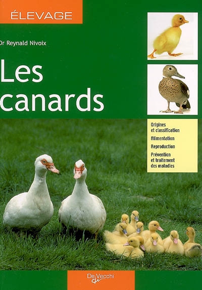 Canard mignon colvert • Élevage et vente de canards de surface