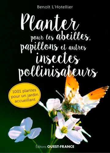 Planter pour les abeilles, papillons et autres insectes pollinisateurs