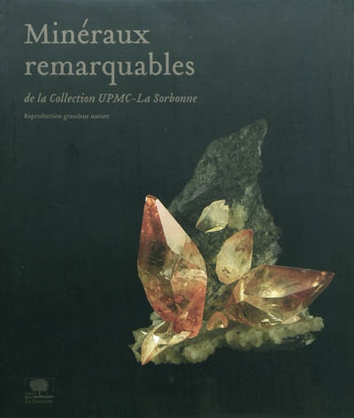 Minéraux remarquables de la collection UPMC-La Sorbonne : reproduction grandeur nature
