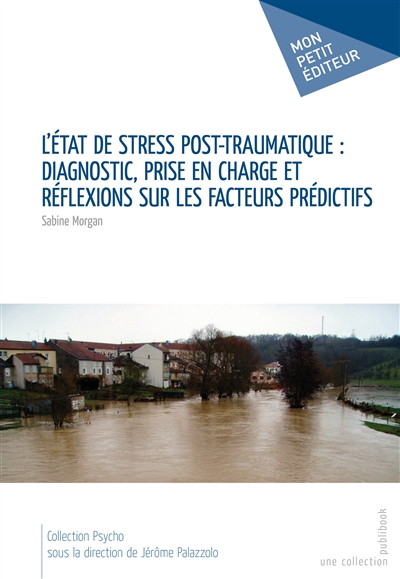 L'état de stress post-traumatique : diagnostic, prise en charge et réflexions sur les facteurs prédictifs