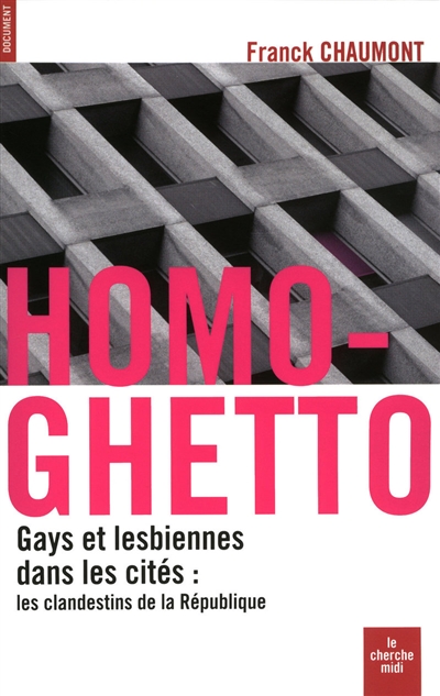 Homo-ghetto : gays et lesbiennes dans les cités, les clandestins de la République