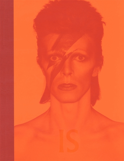 David Bowie est le sujet : [exposition, Londres, Victoria and Albert museum, 23 mars-11 août 2013]