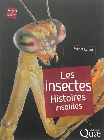 Les insectes : histoires insolites