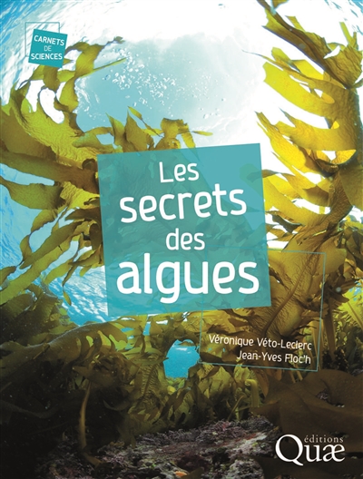 Le secret des algues