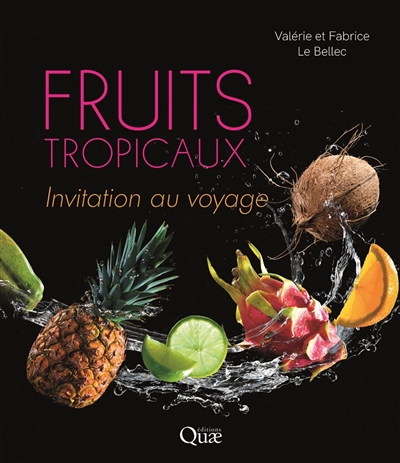 Fruits tropicaux : invitation au voyage