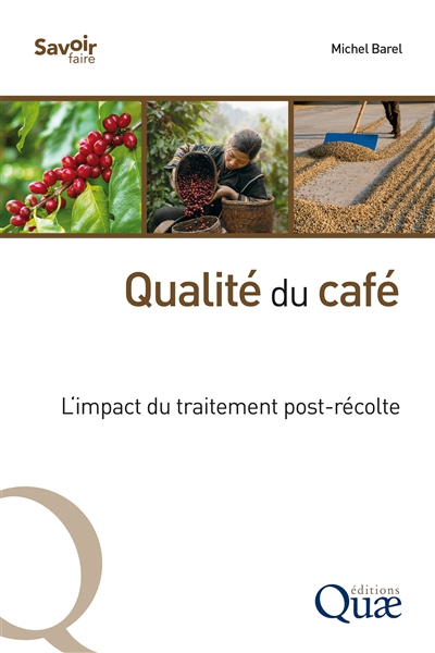 Qualité du café : l'impact du traitement post-récolte