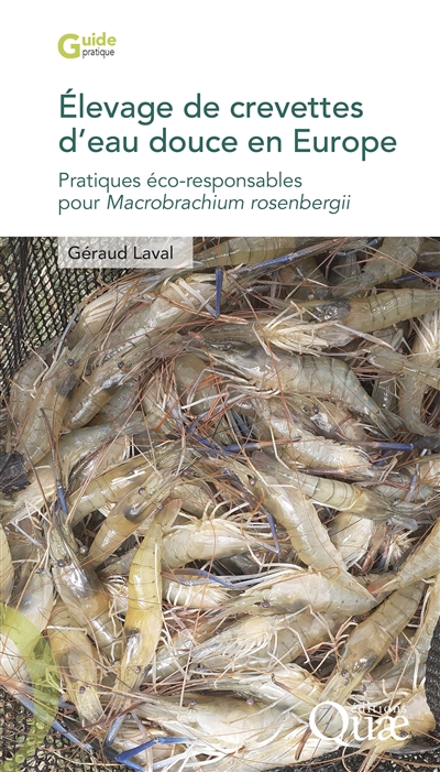 élevage de crevettes d'eau douce en Europe : pratiques éco-responsables pour Macrobrachium rosenbergii