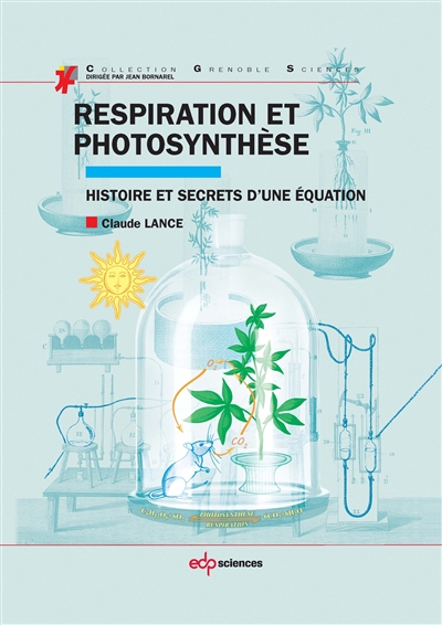 Respiration et photosynthèse : histoire et secrets d'une équation