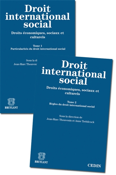 Droit international social : droits économiques, sociaux et culturels