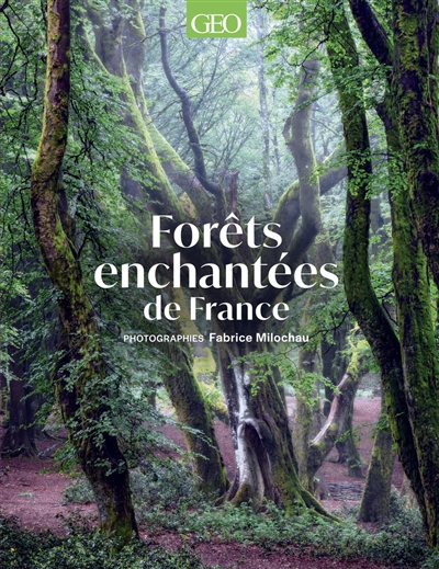 Forêts enchantées de France