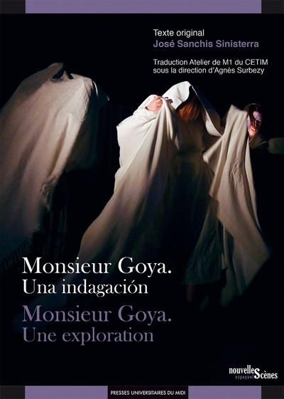 Monsieur Goya : una indagación = Monsieur Goya : une exploration