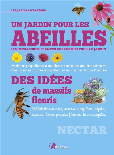 Un jardin pour les abeilles : les meilleures plantes mellifères pour le jardin
