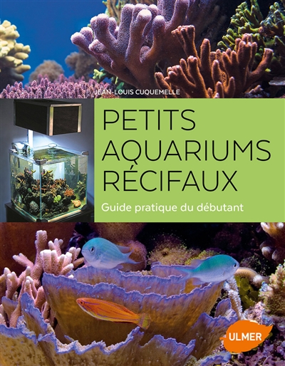 Petis aquariums récifaux : guide pratique du débutant