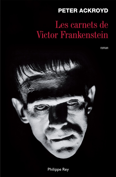 Les carnets de Victor Frankenstein : roman