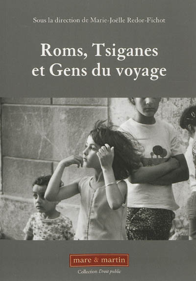 Roms, Tsiganes et gens du voyage : actes du colloque de Caen organisé les 24 et 25 novembre 2011