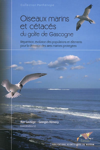 Oiseaux marins et cétacés du golfe de Gascogne : répartition, évolution des populations et éléments pour la définition des aires marines protégées