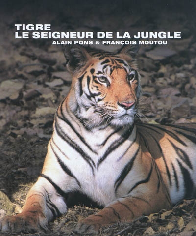 Tigre, le seigneur de la jungle