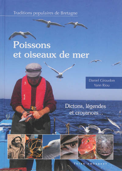 Poissons et oiseaux de mer : faune populaire du bord de mer en Bretagne et pays celtiques
