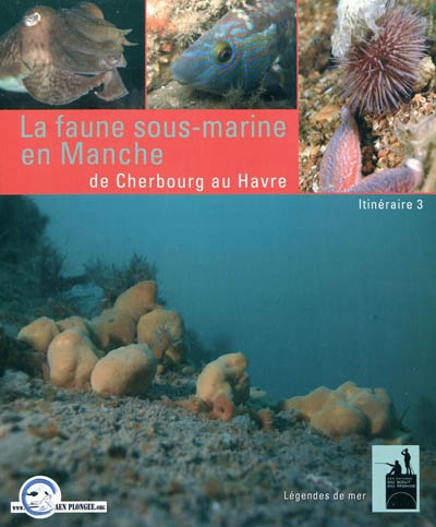 La faune sous-marine en Manche : de Cherbourg au Havre : itinéraire 3