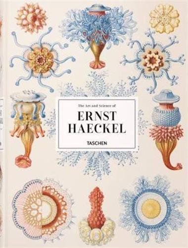 L'art et la science d'Ernst Haeckel