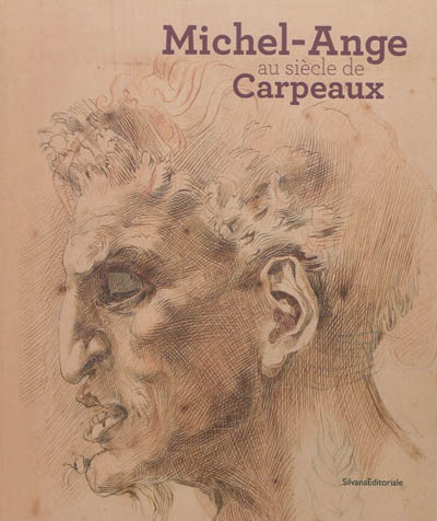Michel-Ange au siècle de Carpeaux : [exposition, Valenciennes, Musée des beaux-arts de Valenciennes, 16 mars-1er juillet 2012]