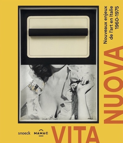 Vita nuova : nouveaux enjeux de l'art en Italie 1960-1975 : [catalogue publié à l'occasion de l'exposition tenue au Musée d'art moderne et d'art contemporain de Nice reportée du 14 mai au 2 octobre 2022]