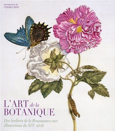L'art de la botanique : des herbiers de la Renaissance aux illustrations du XIXe siècle