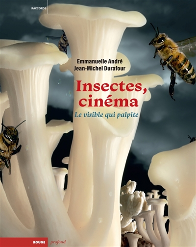 Insectes et cinéma : le visible qui palpite