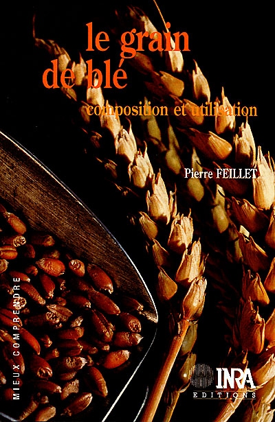 Le grain de blé : composition et utilisation