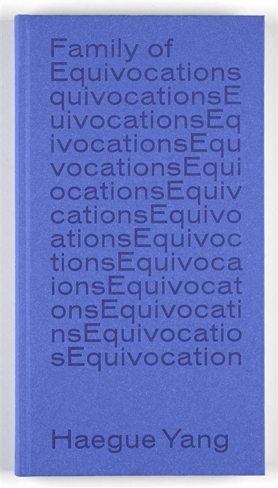 Family of equivocations... Haegue Yang : [exposition, Strasbourg, Aubette 1928 et Musée d'art moderne et contemporain, 8 juin-15 septembre 2013]
