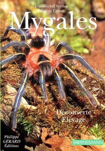 Les mygales : découvertes et élevage