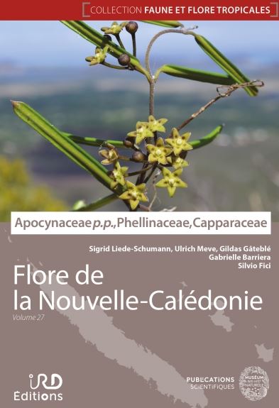 Apocynaceae pro parte Phellinaceae Capparaceae