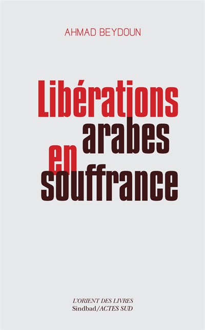 Libérations arabes en souffrance : approches d'une modernisation entravée