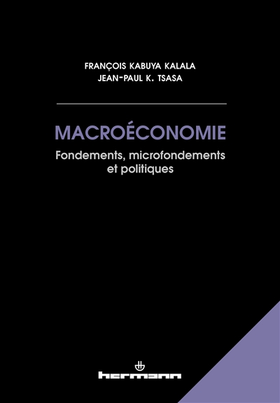 Macroéconomie : fondements, microfondements et politiques