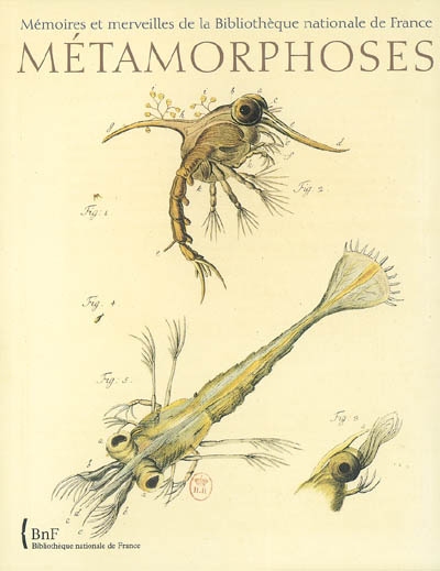 Métamorphoses : le monde fascinant des insectes