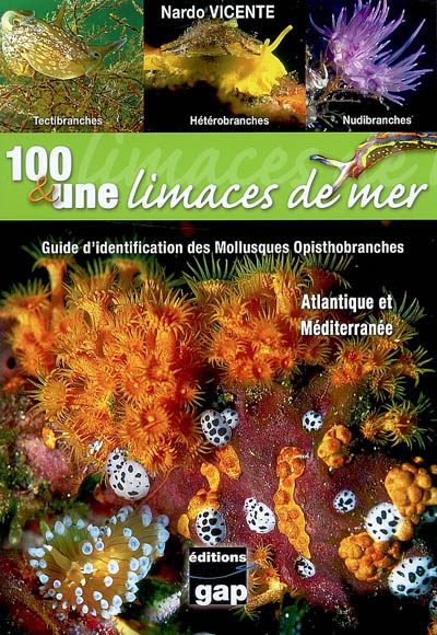 100 & une limaces de mer : guide d'identification des Mollusques Opisthobranches d'Atlantique et de Méditerranée