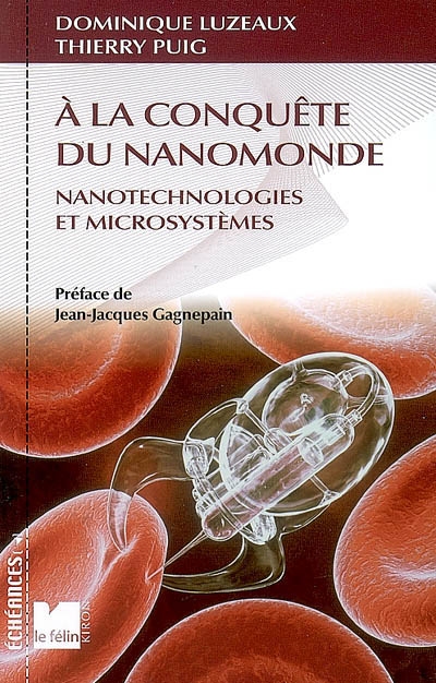 A la conquête du nanomonde : nanotechnologies et microsystèmes