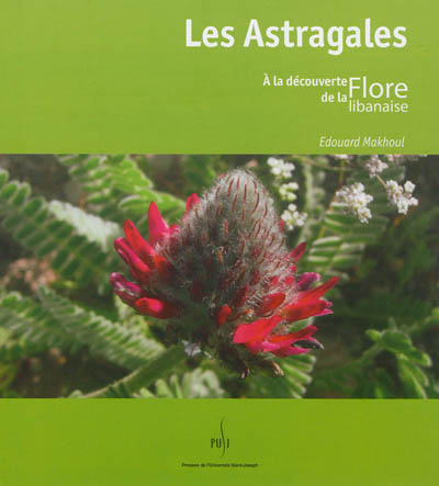 Les astragales : à la découverte de la flore libanaise