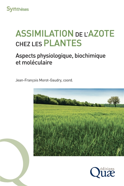 Assimilation de l'azote chez les plantes : aspects physiologique, biochimique et moléculaire